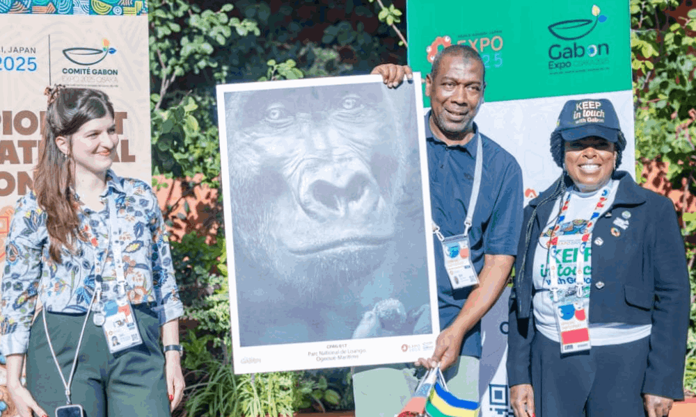 Agenda culturel : les expositions à ne pas manquer à Libreville